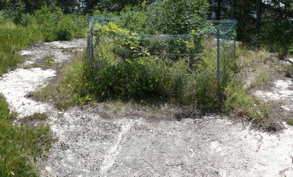 In cima al monte Celva, immagino sia una piazzola per custodire un probabile cannone