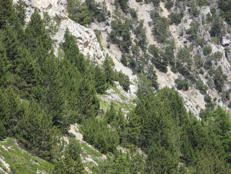 La Fontana des Chamois sotto la Batteria del Petit Vallon.Qui passa all'incirca il nuovo confine Italo-Francese