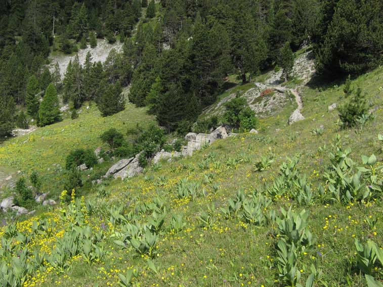 Postazione 114-I ruderi