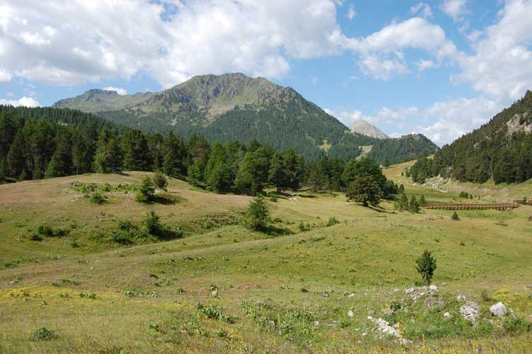Postazione 113-Vista sulla Piana di La Coche verso W.Sullo sfondo le cime dei monti Gimont,La Plane e Janus