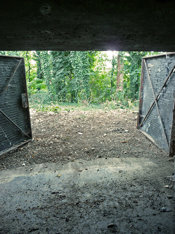 aa 009.JPG