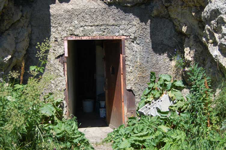 Particolare dell'ingresso