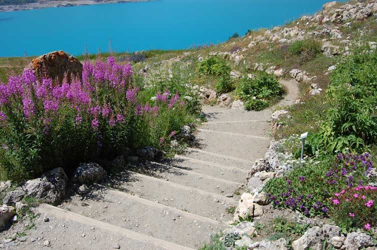Angolo del giardino alpino