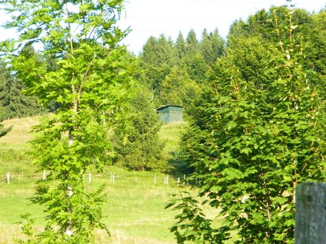 DSCN0517.JPG