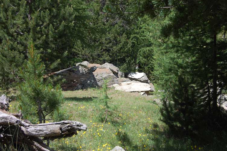 I ruderi del malloppo della casamatta metallica