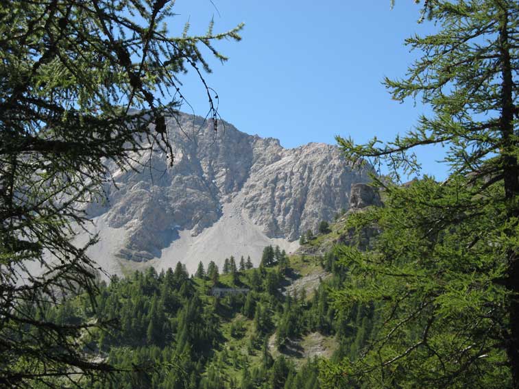 .......che iniziamo ad intravedere fra gli alberi