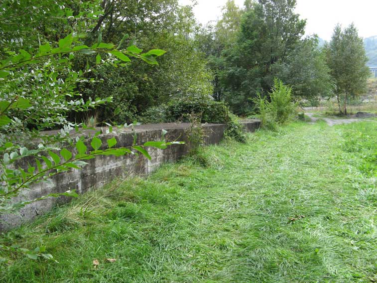 Il muro rivolto verso la Francia del fossato anticarro