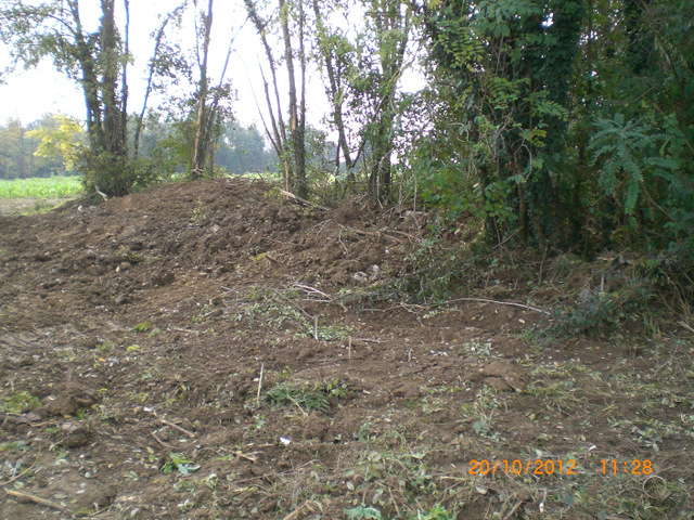 M1.JPG
