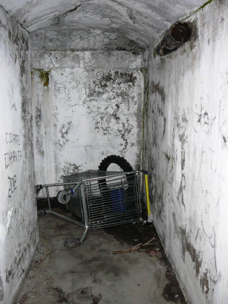Qualcuno ha fatto la spesa