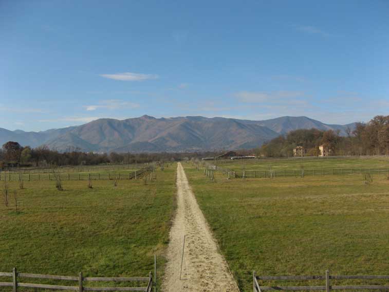 19 novembre 2012 Parco della Mandria-Guardando le Alpi