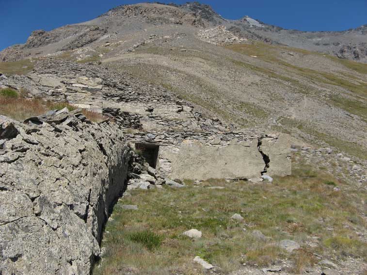 Piazzola