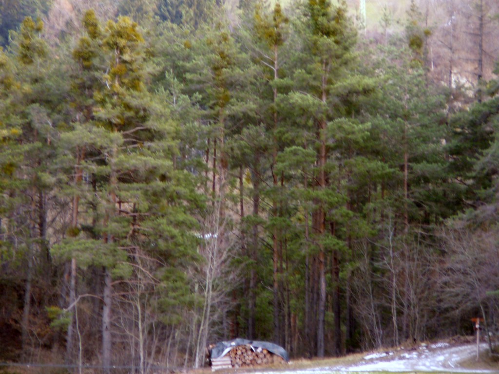 vista esterna da est (ambiente invernale)