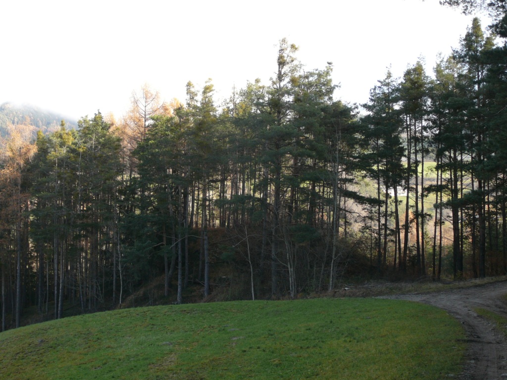vista esterna da est (ambiente autunnale)