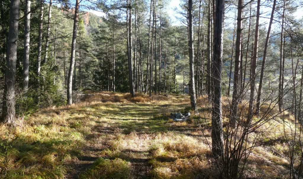 La fine della strada