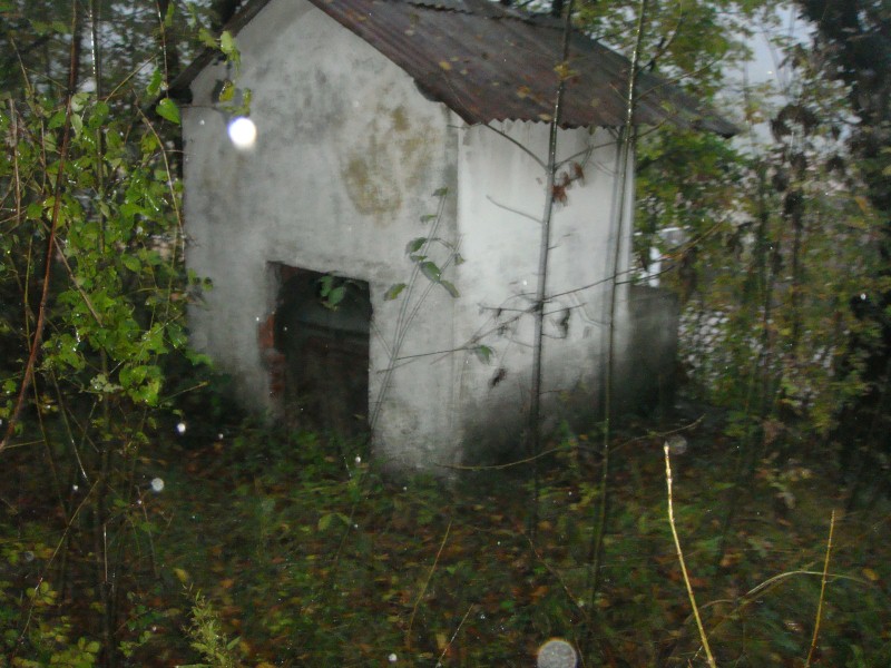 DSC09448.JPG