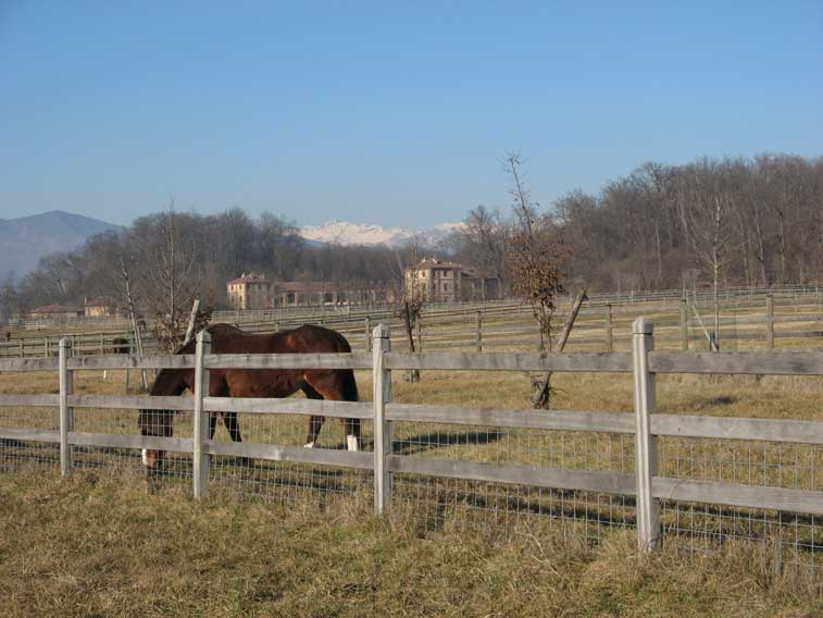 3 gennaio 2013-Cascina Rubbianetta Parco La Mandria