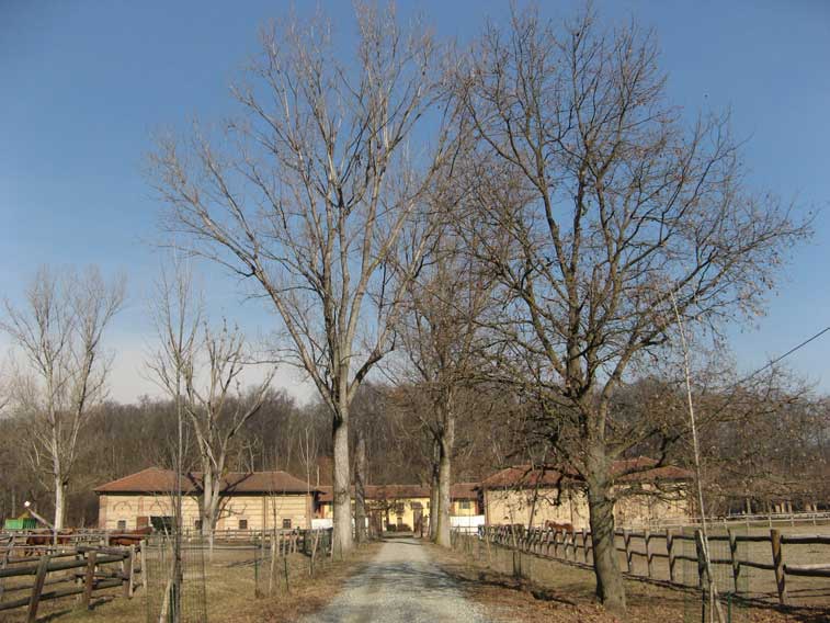 1° Febbraio 2013 Parco della Mandria-Cascina Vittoria
