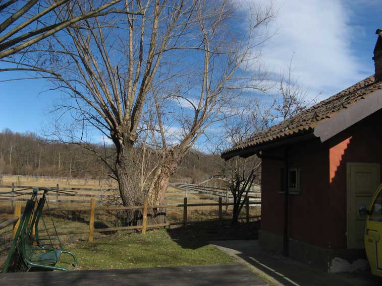 6 febbraio 2013 Parco della Mandria-Scorcio dalla casetta Remondino