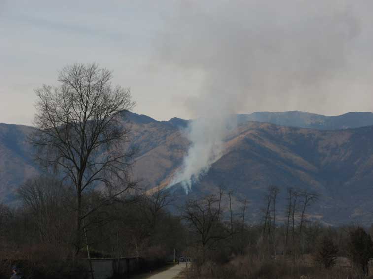 10 febbraio 2013 Parco della Mandria-Guardando i monti..........e attendendo il Canadair