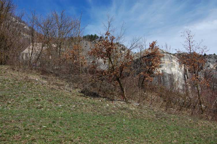 Iniziamo a dirigerci verso la cannoniera dell'anticarro per accedere all'interno