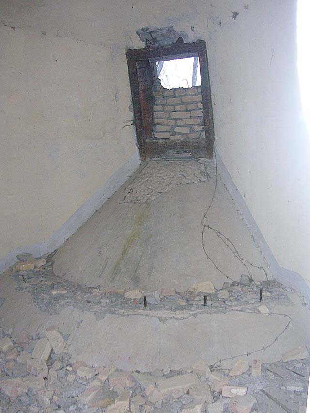 75_cavazzo.jpg