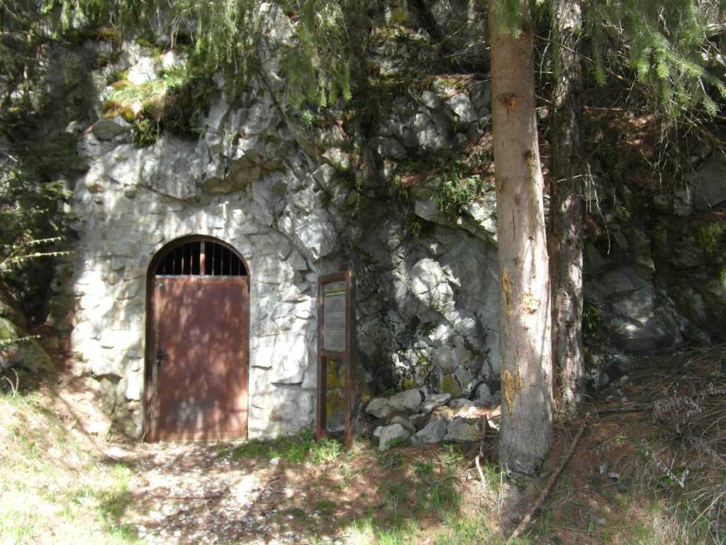 L'ingresso basso