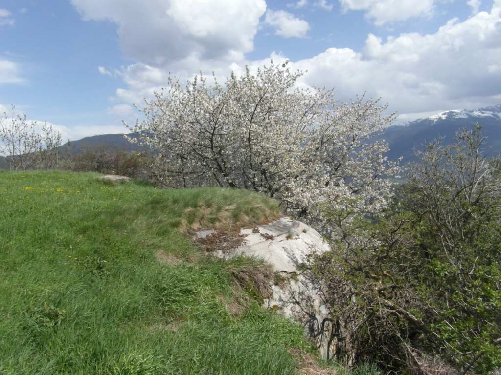 II lato