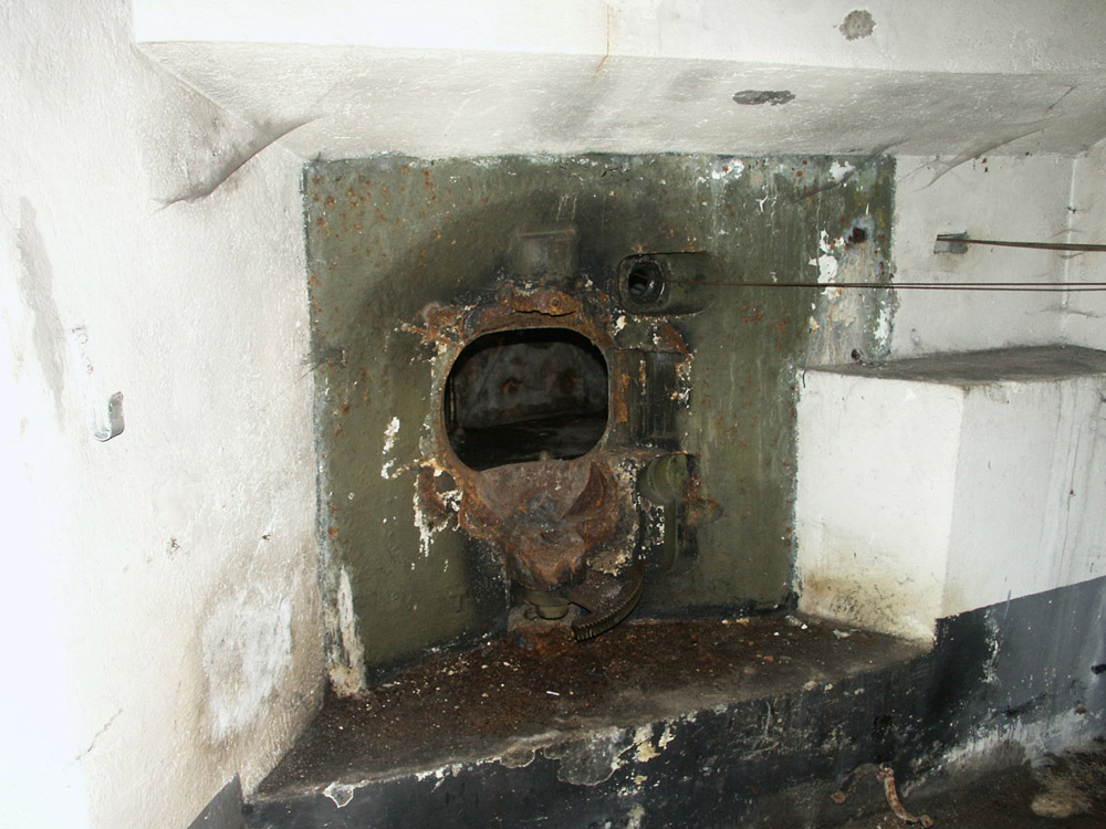 piastra quasi integra