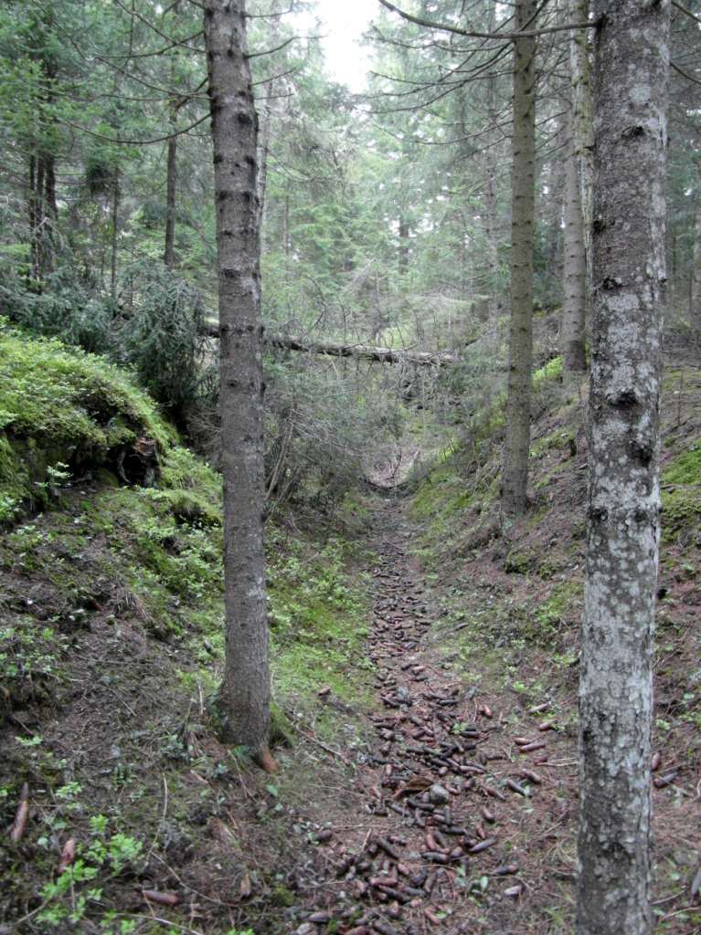 Il lungo  &quot;corridoio naturale&quot; per l'accesso