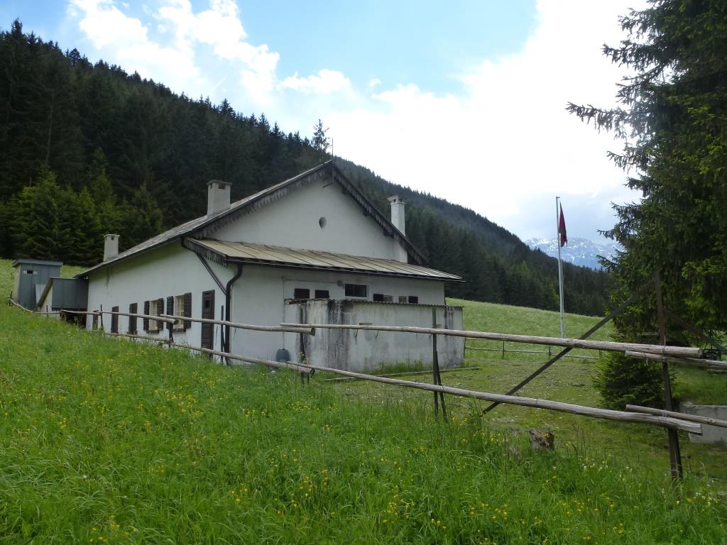 P1050236.JPG