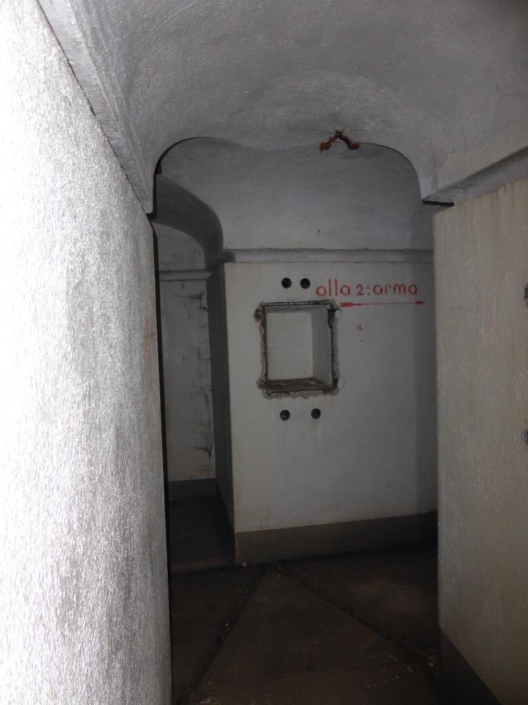 P1000104.JPG
