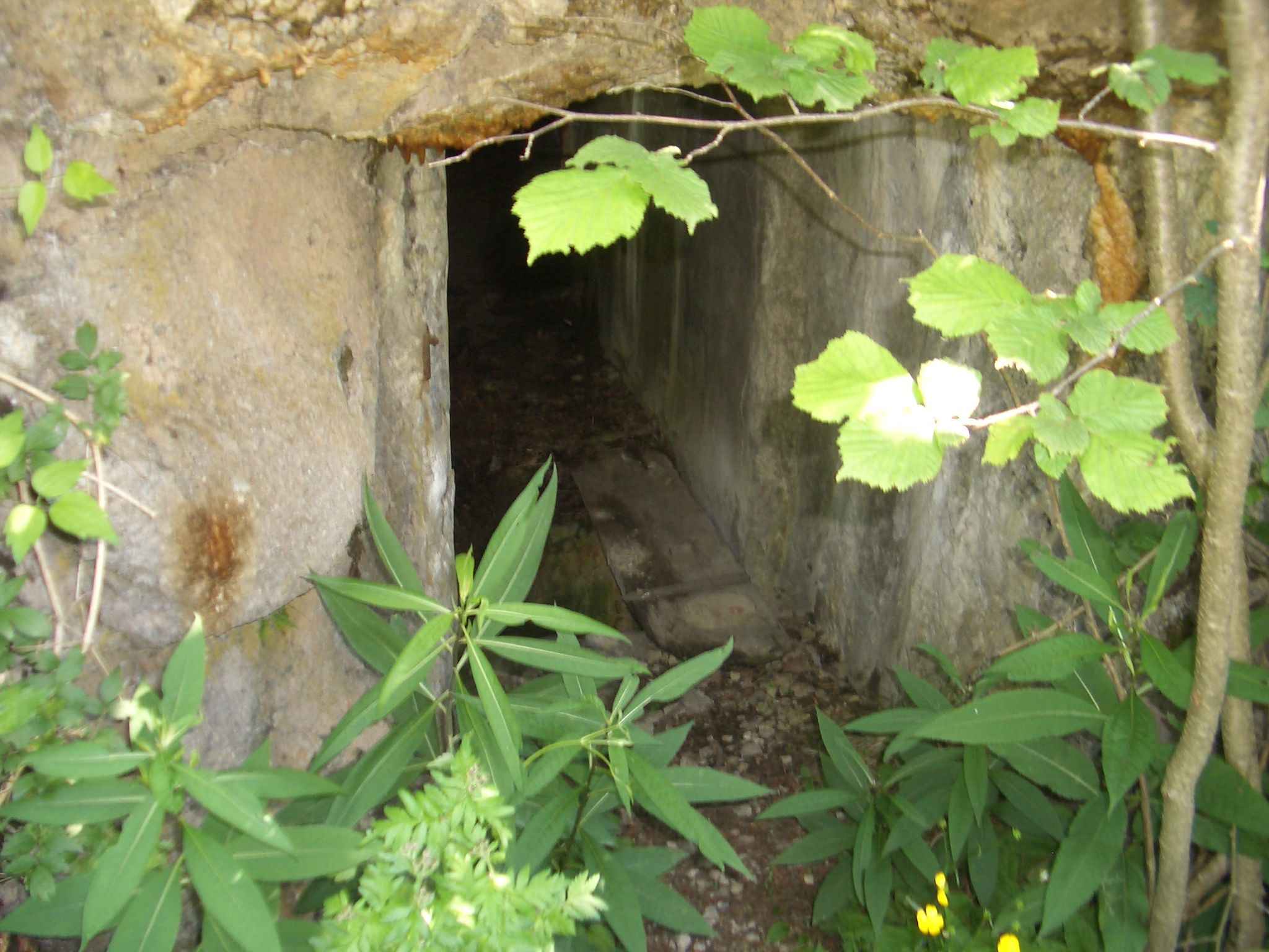 ingresso al livello inferiore