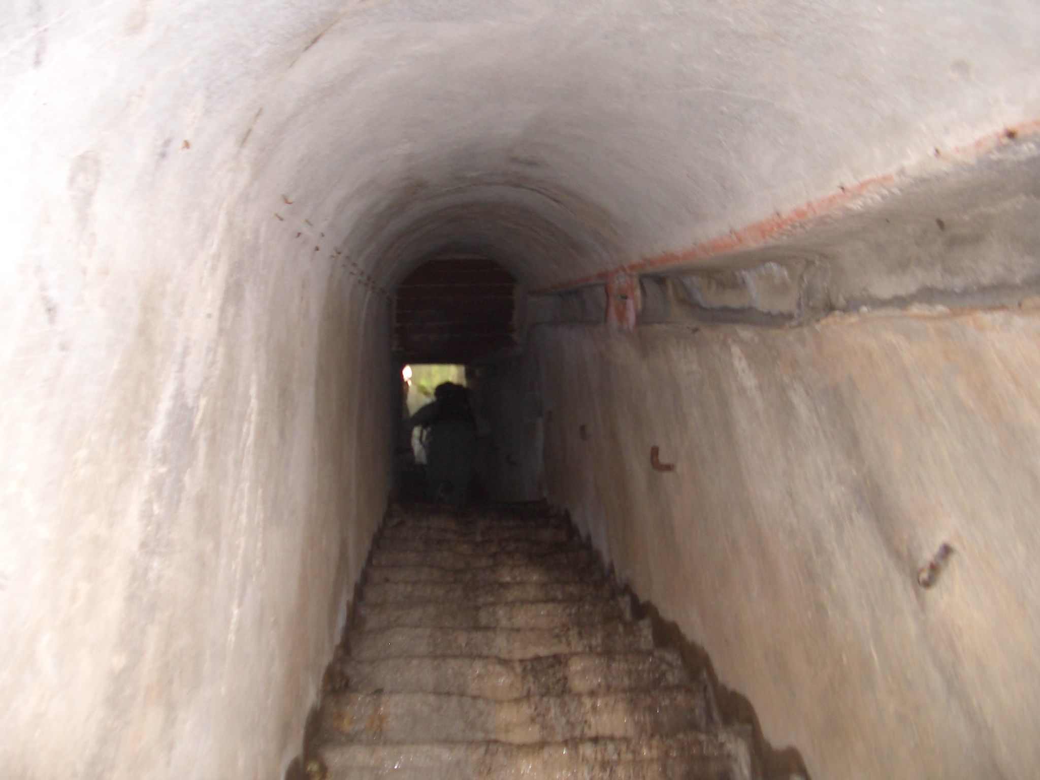 scaletta verso l'osservatorio