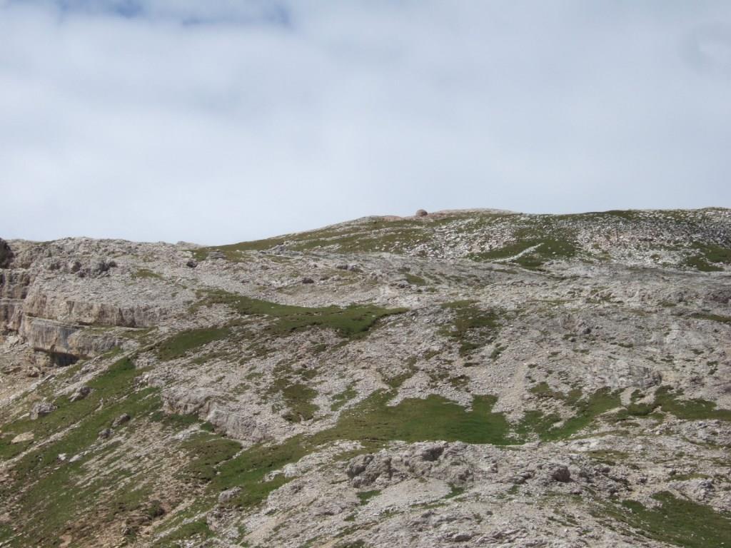 Col dei Bos 05-07-24 (098).JPG