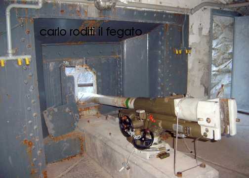 Immagine_WEB.jpg
