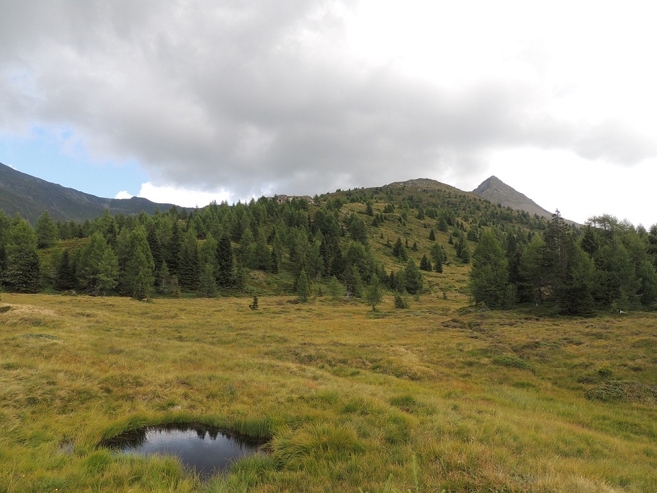 DSCN0898.JPG