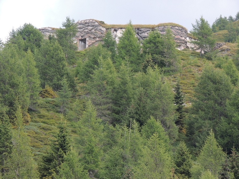 DSCN0899.JPG
