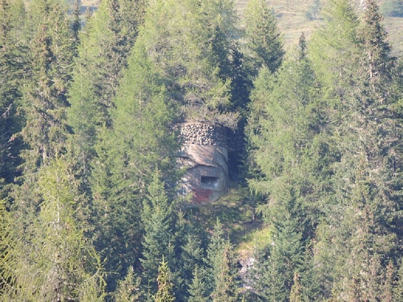 DSCN0935.JPG