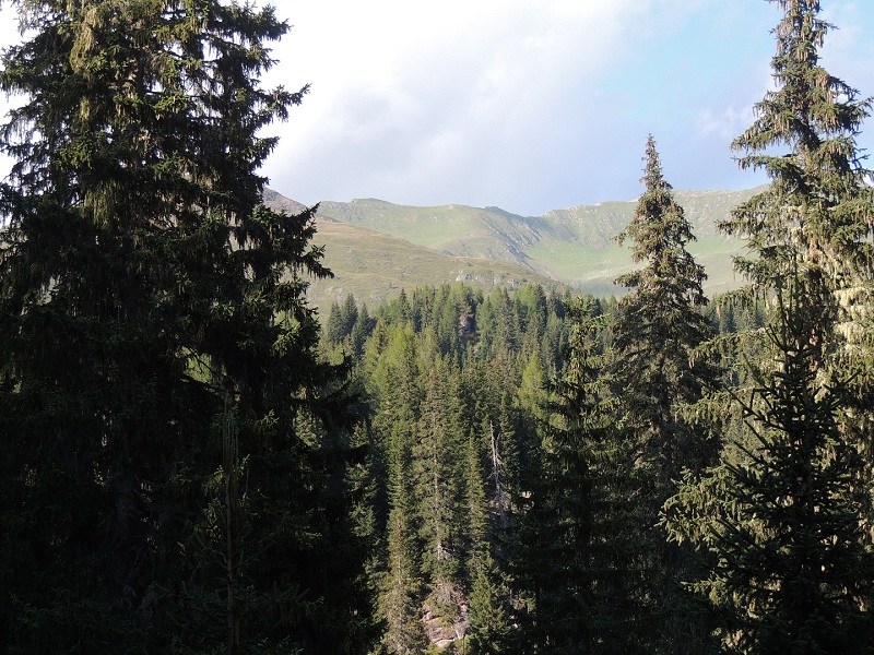 DSCN0936.JPG