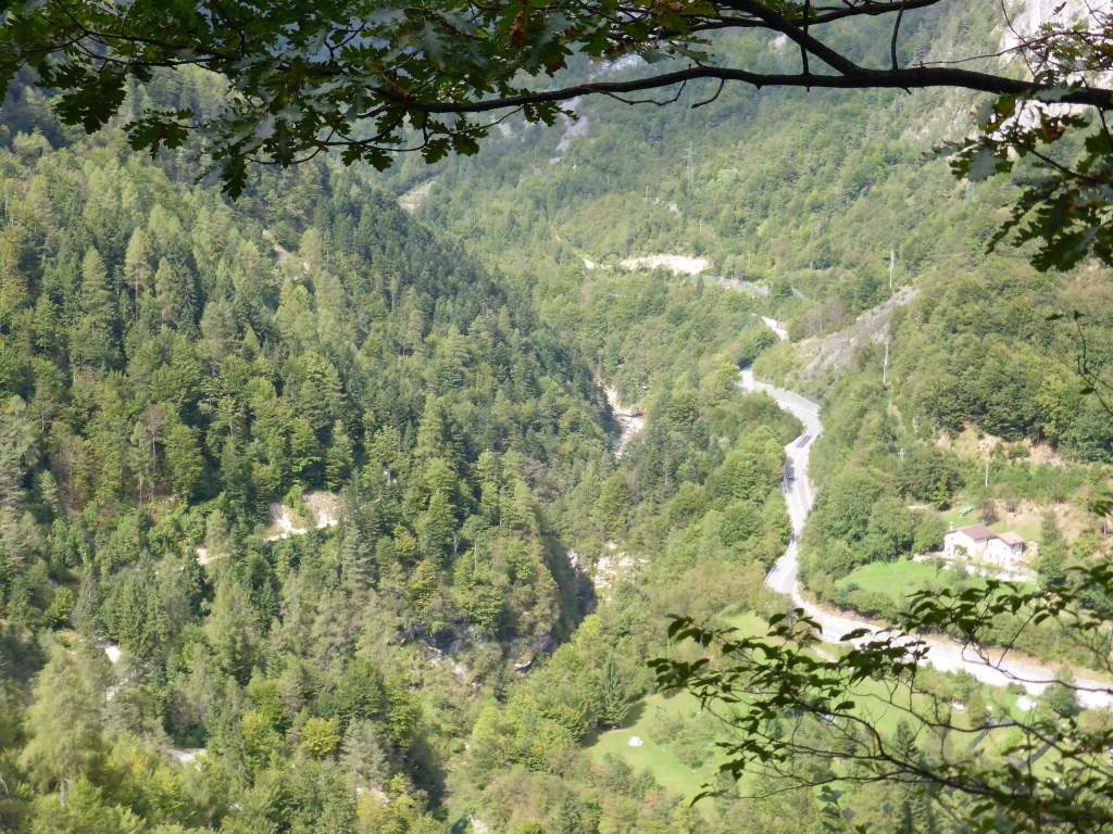 P1020102.JPG