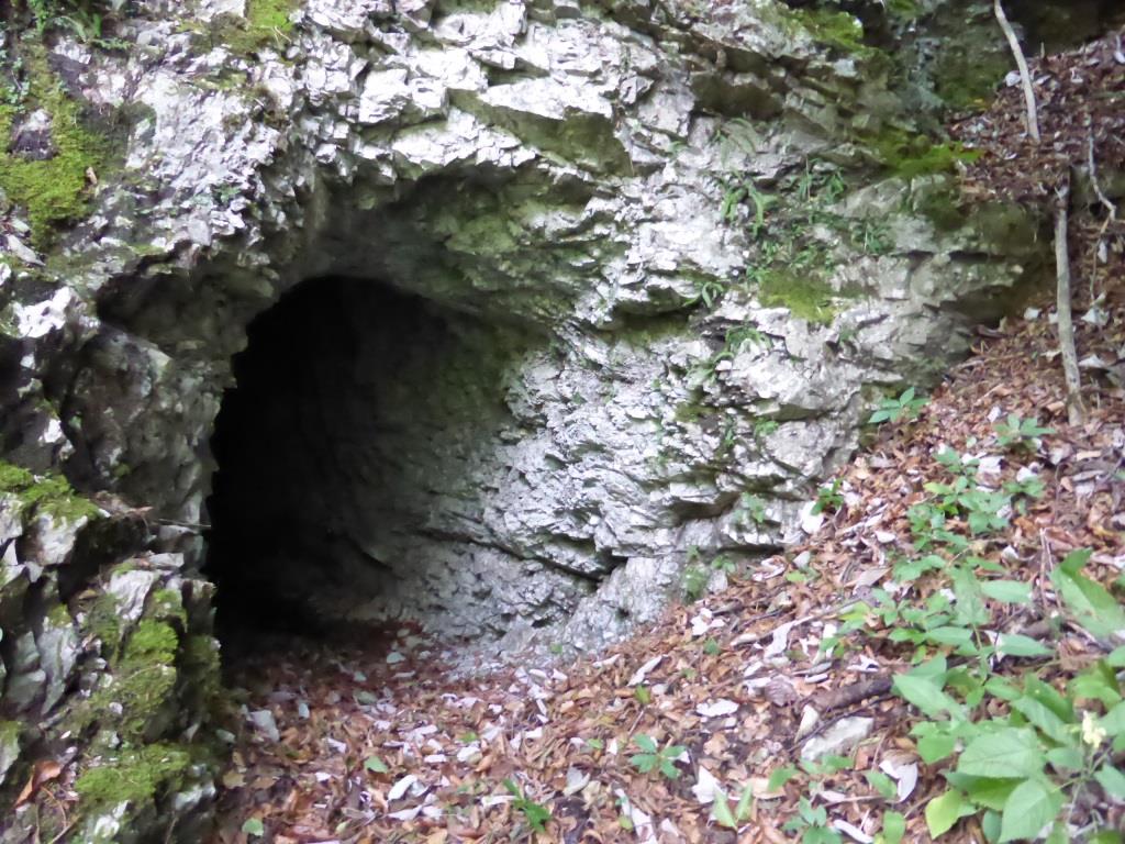 P1020176.JPG