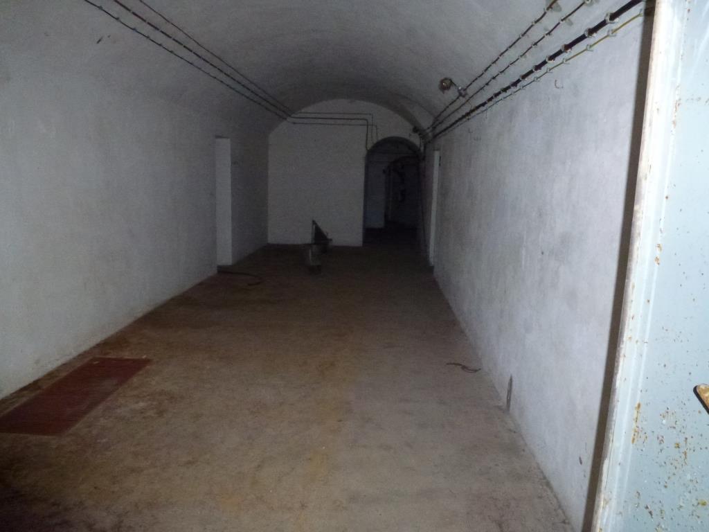 P1010012.JPG
