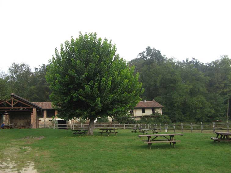 6 Ottobre 2013 Parco della Mandria-Cascina Romitaggio