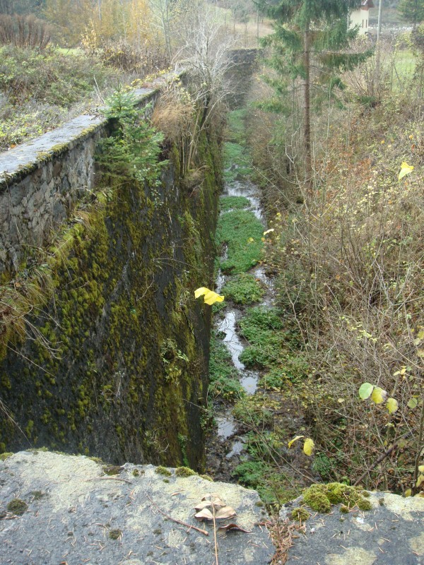 DSC08319.JPG