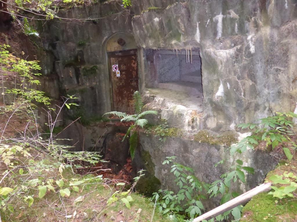 P1050024.JPG