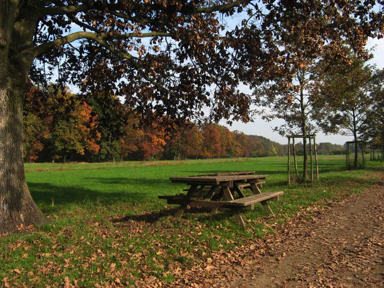 26 ottobre 2013-Colori autunnali al Parco La Mandria