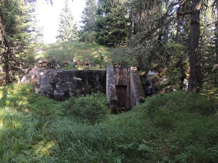 DSCN0857.JPG