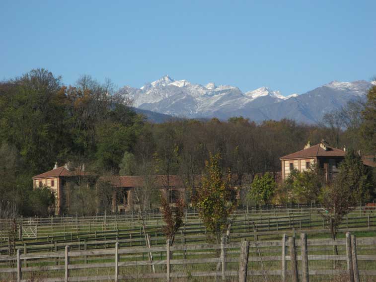 11 novembre 2013-La Mandria,Cascina Rubbianetta e Gran Paradiso