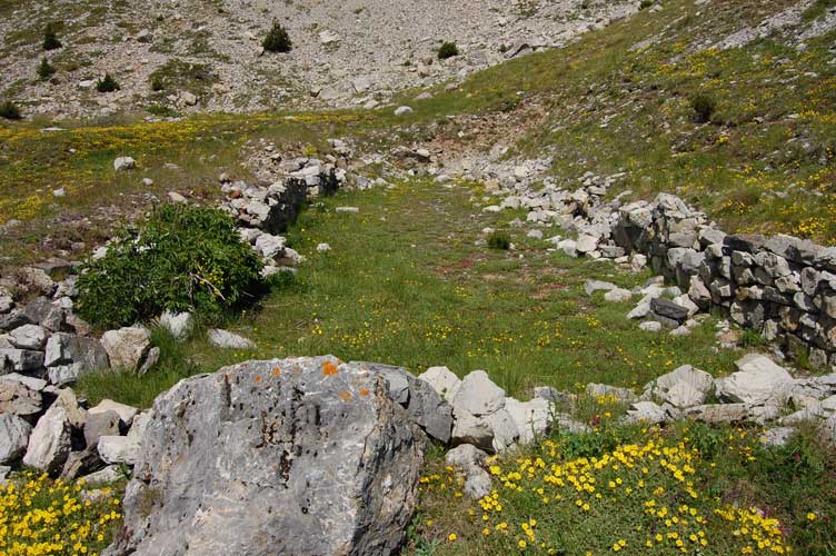 Resti del basamento di un fabbricato