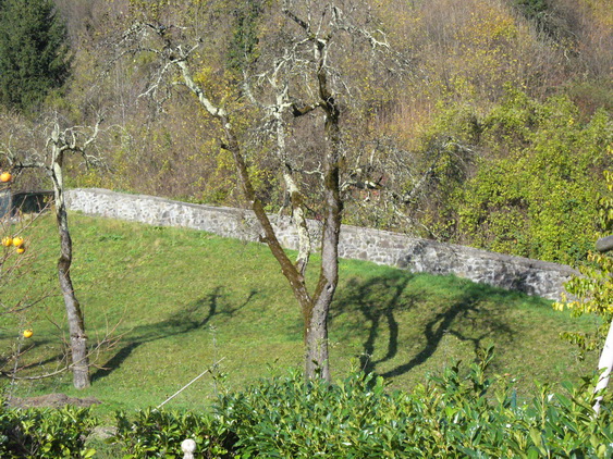 Lato sud